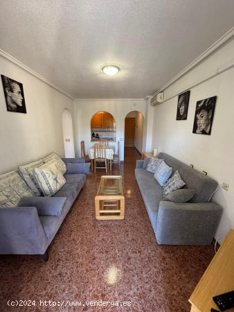 Apartamento de 2 Habitaciones con vistas al Parque de las Naciones. - ALICANTE