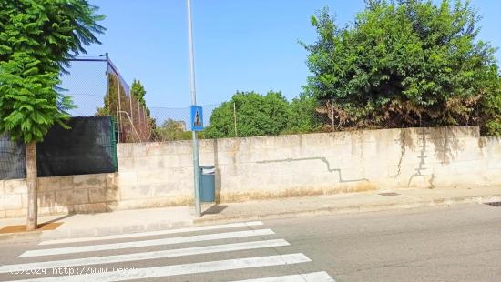 Solar al lado del polideportivo en Muro - BALEARES