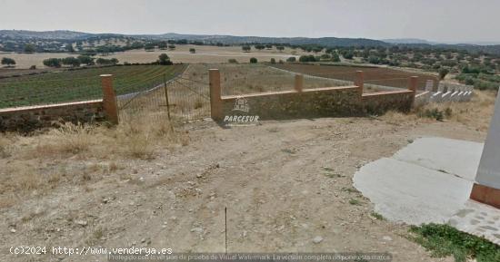 Se Vende en Granja de Torrehermosa - BADAJOZ