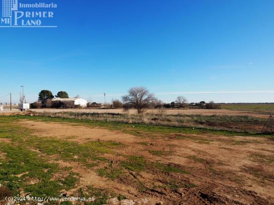 ¡Excelente oportunidad! Solar en venta en Tomelloso, zona Avda. juan carlos i - CIUDAD REAL