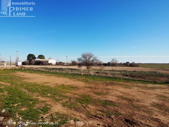 ¡Excelente oportunidad! Solar en venta en Tomelloso, zona Avda. juan carlos i - CIUDAD REAL