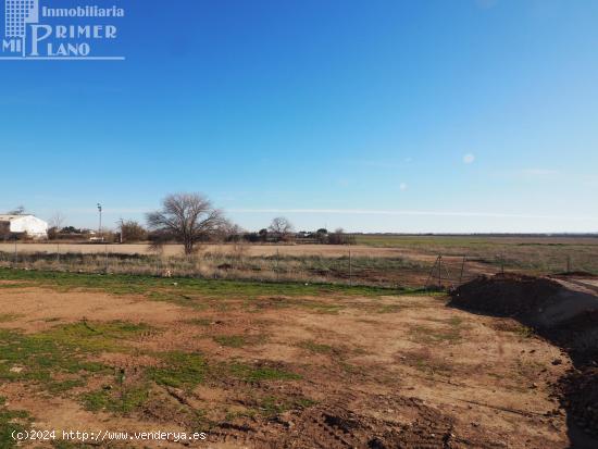 ¡Excelente oportunidad! Solar en venta en Tomelloso, zona Avda. juan carlos i - CIUDAD REAL