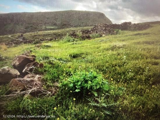 Terreno rústico de 5.000m2 en venta - LAS PALMAS