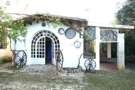 FINCA RÚSTICA CON CASA, PISCINA, LUZ Y AGUA - BALEARES