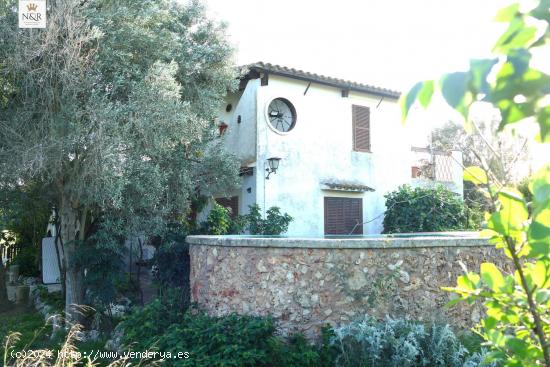 FINCA RÚSTICA CON CASA, PISCINA, LUZ Y AGUA - BALEARES