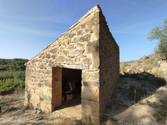  Finca con maset y cultivo por goteo en Torre del Compte - TERUEL 