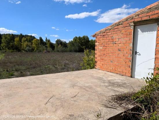 Huerto con caseta de aperos junto al río Matarraña - TERUEL