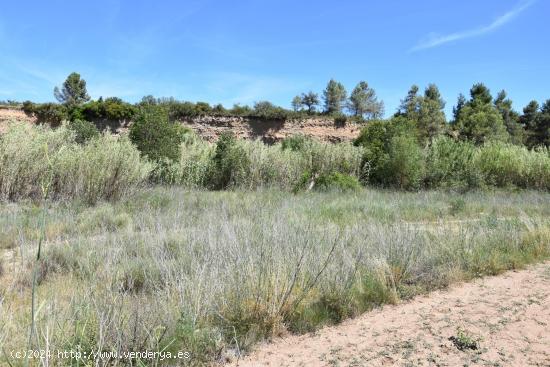 Huerto con agua de acequia - TERUEL