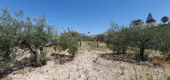 TERRENO URBANO - SALTERAS - SEVILLA