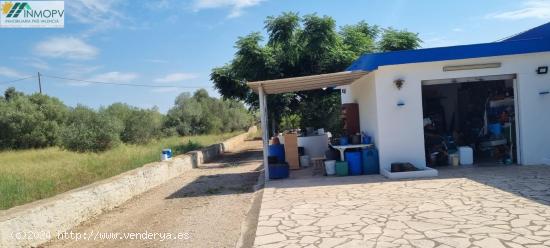 GRAN FINCA RUSTICA EN ZONA DEVESES COSTA NORTE VINAROS - CASTELLON