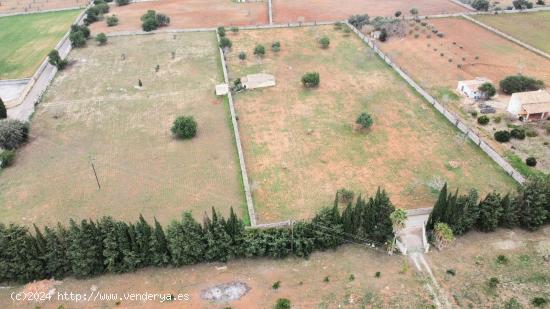 SOLAR RUSTICO CON PROYECTO DE VIVIENDA EN SANTA MARGARITA - BALEARES