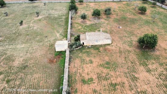 SOLAR RUSTICO CON PROYECTO DE VIVIENDA EN SANTA MARGARITA - BALEARES