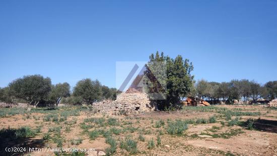  Estupendo terreno con proyecto incluido - BALEARES 