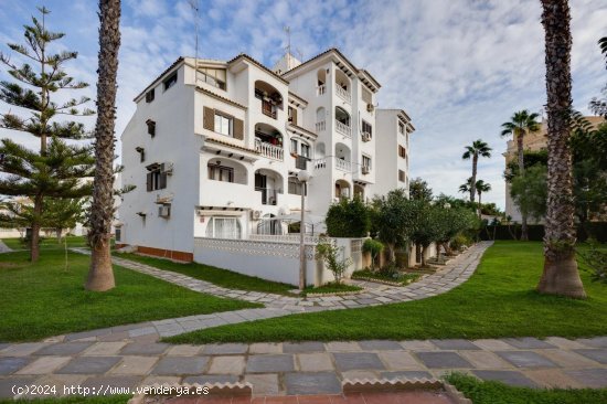  Dúplex en venta en Torrevieja (Alicante) 