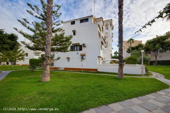 Dúplex en venta en Torrevieja (Alicante)