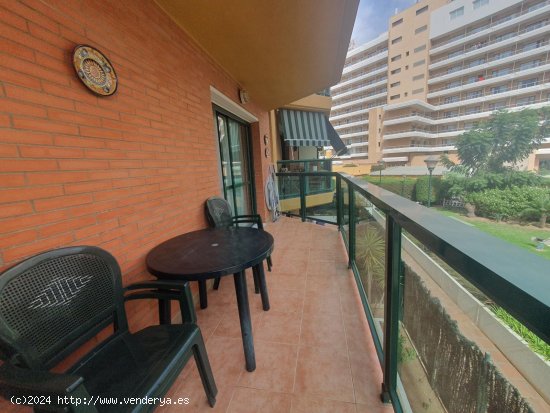 Apartamento en alquiler en Torremolinos (Málaga)