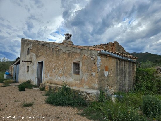  Finca en venta en El Perelló (Tarragona) 