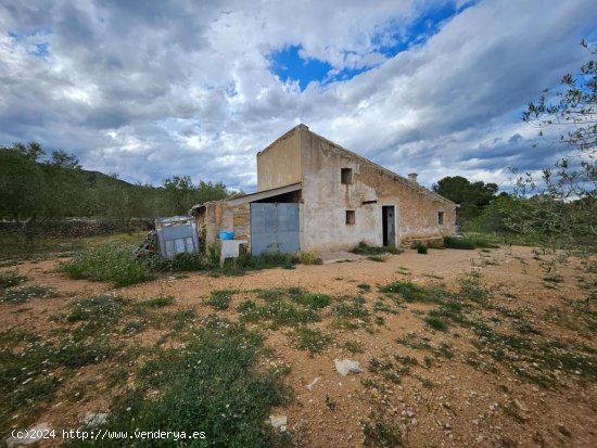 Finca en venta en El Perelló (Tarragona)