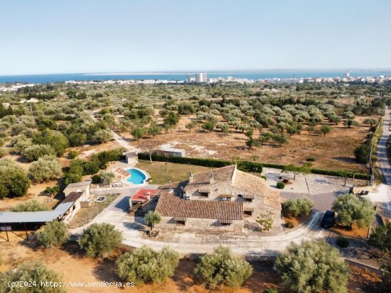  Finca en venta en L Ampolla (Tarragona) 