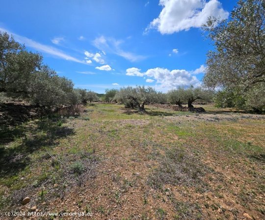 Finca en venta en El Perelló (Tarragona)