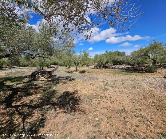 Finca en venta en El Perelló (Tarragona)