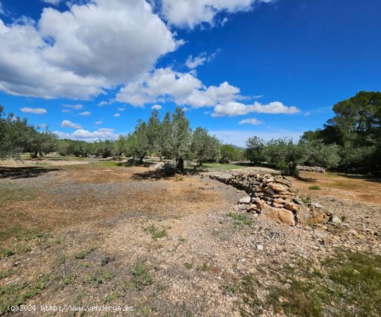 Finca en venta en El Perelló (Tarragona)