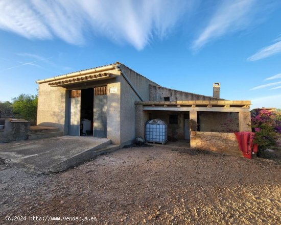 Finca en venta en El Perelló (Tarragona)