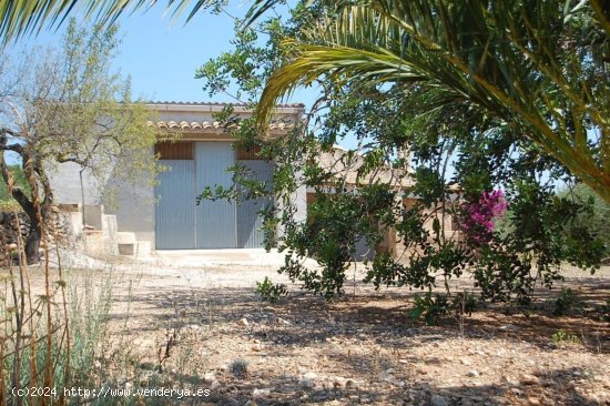 Finca en venta en El Perelló (Tarragona)