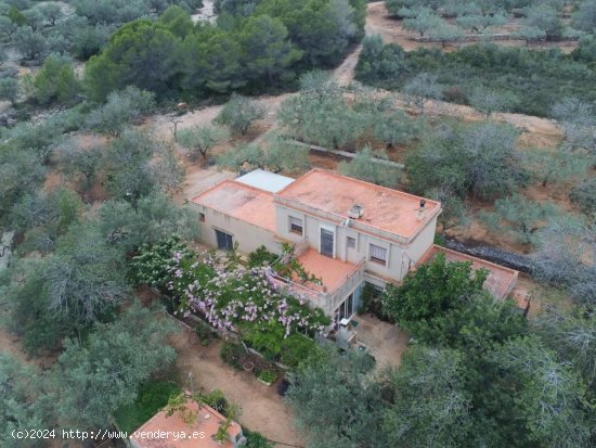 Finca en venta en El Perelló (Tarragona)