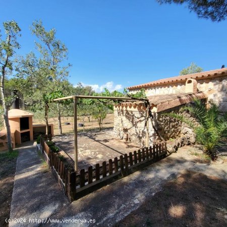 Finca en venta en El Perelló (Tarragona)