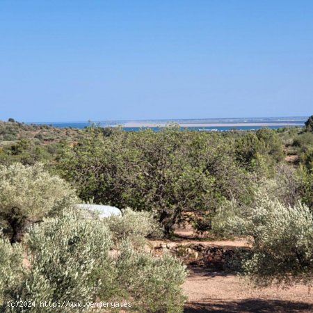 Finca en venta en El Perelló (Tarragona)