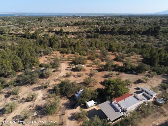 Finca en venta en El Perelló (Tarragona)