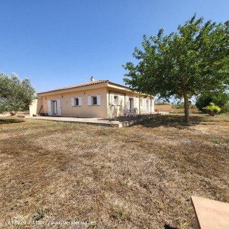  Finca en venta en El Perelló (Tarragona) 