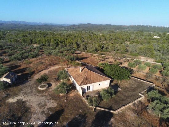 Finca en venta en El Perelló (Tarragona)