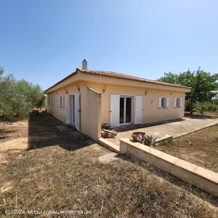  Casa en venta en El Perelló (Tarragona) 