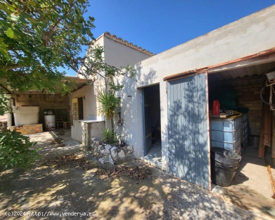 Finca en venta en L Ampolla (Tarragona)