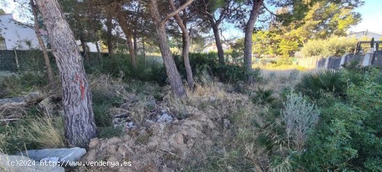 Parcela en venta en L Ametlla de Mar (Tarragona)