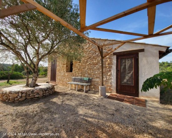 Finca en venta en Tivissa (Tarragona)