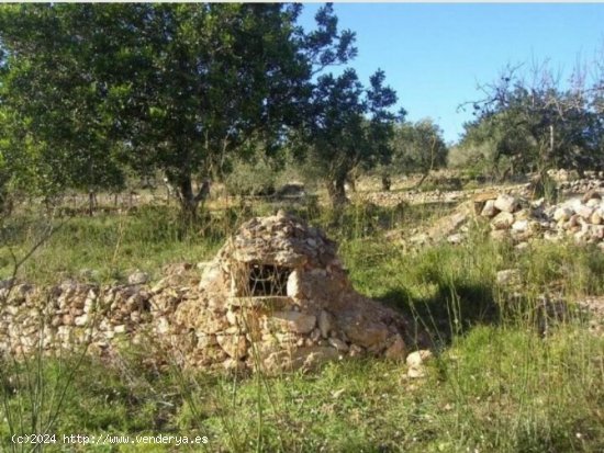 Finca en venta en El Perelló (Tarragona)