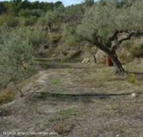 Finca en venta en El Perelló (Tarragona)