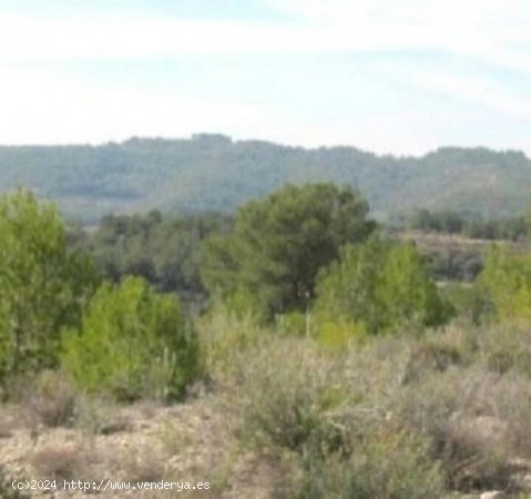 Finca en venta en El Perelló (Tarragona)