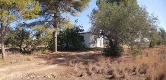 Finca en venta en L Ametlla de Mar (Tarragona)