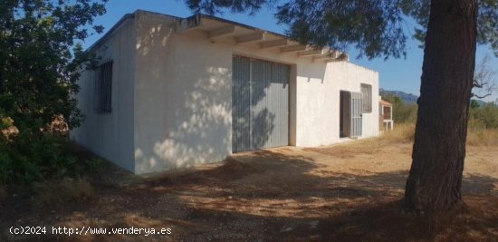 Finca en venta en L Ametlla de Mar (Tarragona)