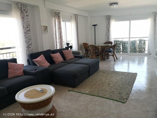 Apartamento en alquiler en Oliva (Valencia)