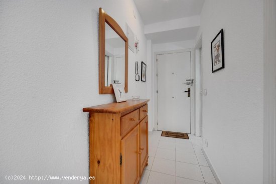 Apartamento en venta en Torrevieja (Alicante)