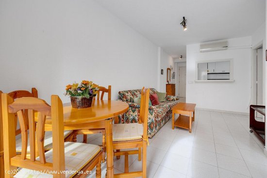 Apartamento en venta en Torrevieja (Alicante)