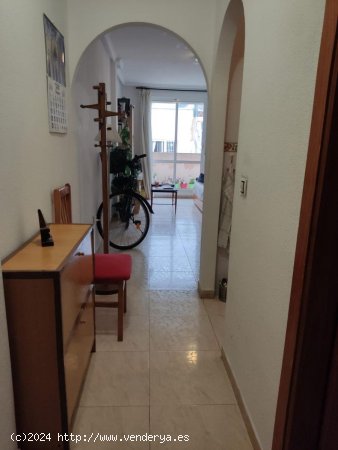 Apartamento en venta en Torrevieja (Alicante)