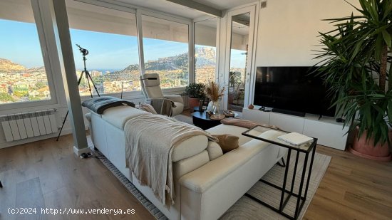  Apartamento en alquiler en Alicante (Alicante) 