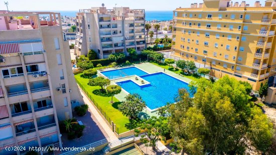  Apartamento en venta en Torrevieja (Alicante) 