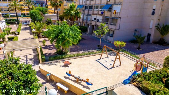 Apartamento en venta en Torrevieja (Alicante)